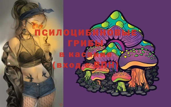 спиды Белокуриха