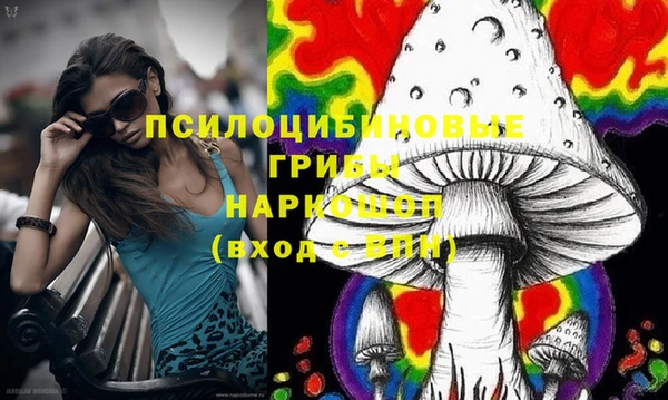 спиды Белокуриха