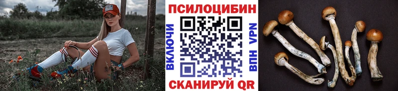 Псилоцибиновые грибы MAGIC MUSHROOMS  Купить где  Амурск 