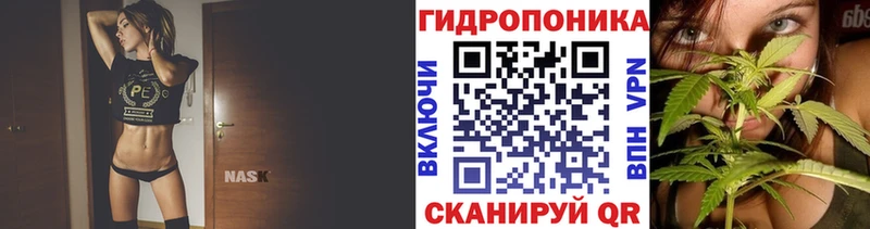 Канабис OG Kush  Купить где  Амурск 